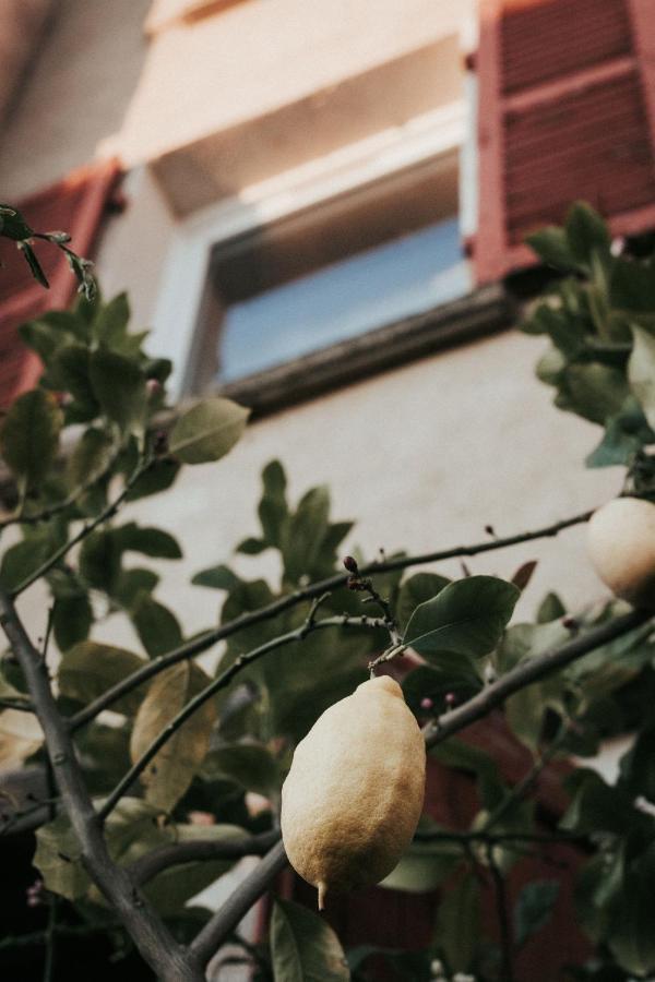 La Maison Perchee *